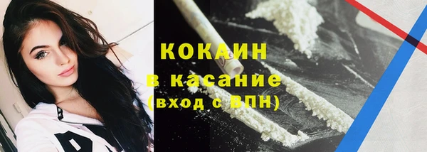 гидра Абаза