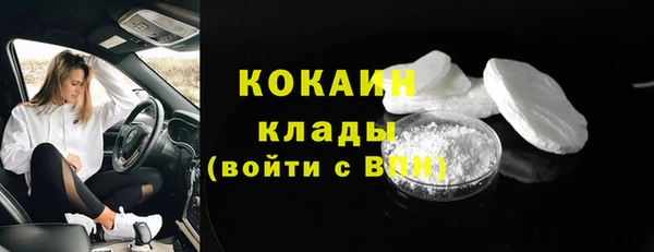 гидра Абаза