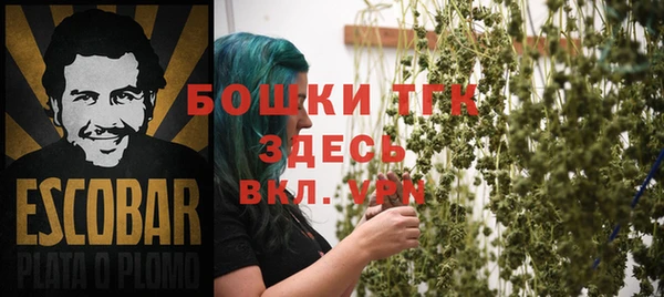 гидра Абаза