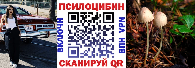 МЕГА зеркало  Цоци-Юрт  Псилоцибиновые грибы MAGIC MUSHROOMS  как найти закладки 